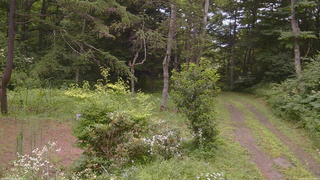 長野県菅平高原 ゆたか山荘 坂上 2026/08/01 10:45