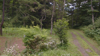 長野県菅平高原 ゆたか山荘 坂上 2026/08/01 11:00