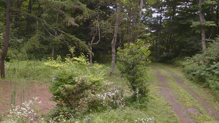 長野県菅平高原 ゆたか山荘 坂上 2026/08/01 11:15