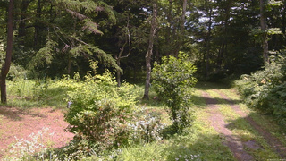 長野県菅平高原 ゆたか山荘 坂上 2026/08/01 11:30