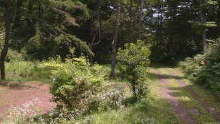長野県菅平高原 ゆたか山荘 坂上 2026/08/01 11:45