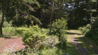 長野県菅平高原 ゆたか山荘 坂上 2026/08/01 12:00