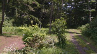 長野県菅平高原 ゆたか山荘 坂上 2026/08/01 12:15