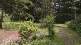 長野県菅平高原 ゆたか山荘 坂上 2026/08/01 12:30