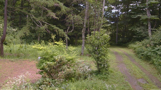 長野県菅平高原 ゆたか山荘 坂上 2026/08/01 12:45