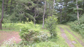 長野県菅平高原 ゆたか山荘 坂上 2026/08/01 13:00
