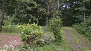長野県菅平高原 ゆたか山荘 坂上 2026/08/01 13:15