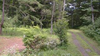 長野県菅平高原 ゆたか山荘 坂上 2026/08/01 13:30