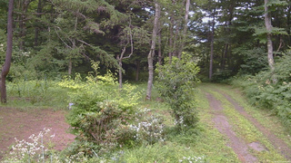 長野県菅平高原 ゆたか山荘 坂上 2026/08/01 13:45