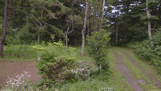 長野県菅平高原 ゆたか山荘 坂上 2026/08/01 14:00
