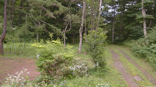 長野県菅平高原 ゆたか山荘 坂上 2026/08/01 14:15