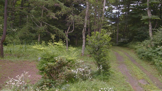 長野県菅平高原 ゆたか山荘 坂上 2026/08/01 14:30