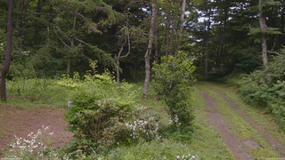 長野県菅平高原 ゆたか山荘 坂上 2026/08/01 14:45