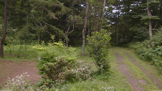 長野県菅平高原 ゆたか山荘 坂上 2026/08/01 15:00