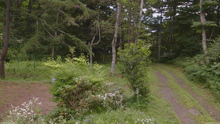 長野県菅平高原 ゆたか山荘 坂上 2026/08/01 15:15