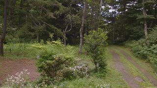 長野県菅平高原 ゆたか山荘 坂上 2026/08/01 15:30