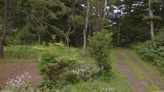 長野県菅平高原 ゆたか山荘 坂上 2026/08/01 15:45