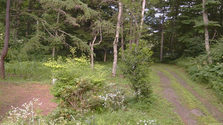 長野県菅平高原 ゆたか山荘 坂上 2026/08/01 16:00