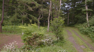 長野県菅平高原 ゆたか山荘 坂上 2026/08/01 16:15