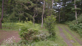 長野県菅平高原 ゆたか山荘 坂上 2026/08/01 16:30