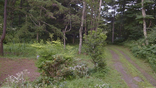 長野県菅平高原 ゆたか山荘 坂上 2026/08/01 16:45