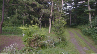 長野県菅平高原 ゆたか山荘 坂上 2026/08/01 17:00