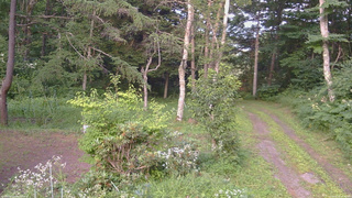 長野県菅平高原 ゆたか山荘 坂上 2026/08/01 17:30