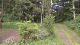 長野県菅平高原 ゆたか山荘 坂上 2026/08/01 17:45