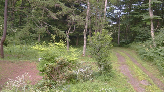 長野県菅平高原 ゆたか山荘 坂上 2026/08/01 18:00