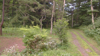 長野県菅平高原 ゆたか山荘 坂上 2026/08/01 18:15