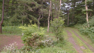 長野県菅平高原 ゆたか山荘 坂上 2026/08/01 18:30