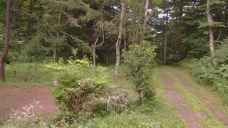 長野県菅平高原 ゆたか山荘 坂上 2026/08/01 18:45
