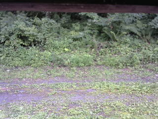 長野県菅平高原 ゆたか山荘 東側(坂下) 2026/08/02 14:00
