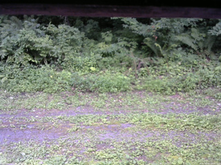 長野県菅平高原 ゆたか山荘 東側(坂下) 2026/08/02 15:00