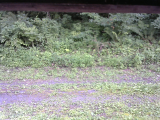 長野県菅平高原 ゆたか山荘 東側(坂下) 2026/08/02 15:15
