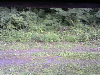 長野県菅平高原 ゆたか山荘 東側(坂下) 2026/08/02 16:15