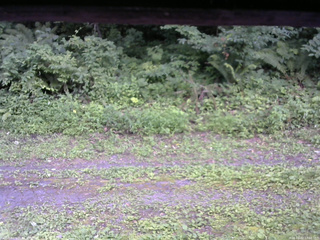 長野県菅平高原 ゆたか山荘 東側(坂下) 2026/08/02 17:00