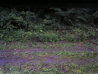 長野県菅平高原 ゆたか山荘 東側(坂下) 2026/08/02 19:00