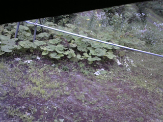 長野県菅平高原 ゆたか山荘 駐車場 2026/08/02 05:00