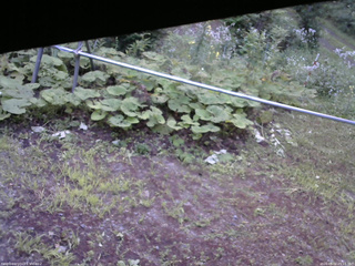 長野県菅平高原 ゆたか山荘 駐車場 2026/08/02 05:15
