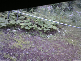 長野県菅平高原 ゆたか山荘 駐車場 2026/08/02 05:45