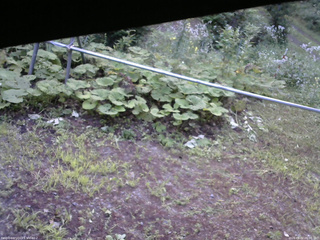 長野県菅平高原 ゆたか山荘 駐車場 2026/08/02 06:00