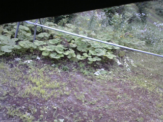 長野県菅平高原 ゆたか山荘 駐車場 2026/08/02 06:15
