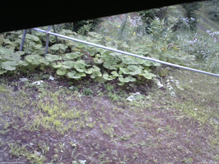 長野県菅平高原 ゆたか山荘 駐車場 2026/08/02 06:30