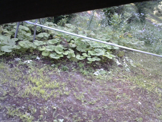 長野県菅平高原 ゆたか山荘 駐車場 2026/08/02 06:45