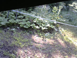 長野県菅平高原 ゆたか山荘 駐車場 2026/08/02 07:00