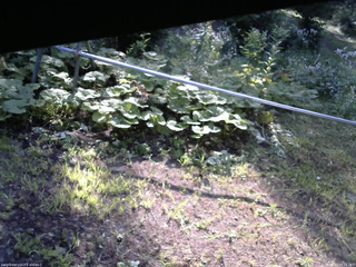 長野県菅平高原 ゆたか山荘 駐車場 2026/08/02 07:15