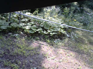 長野県菅平高原 ゆたか山荘 駐車場 2026/08/02 07:45