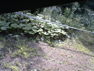 長野県菅平高原 ゆたか山荘 駐車場 2026/08/02 08:00