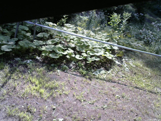 長野県菅平高原 ゆたか山荘 駐車場 2026/08/02 08:15